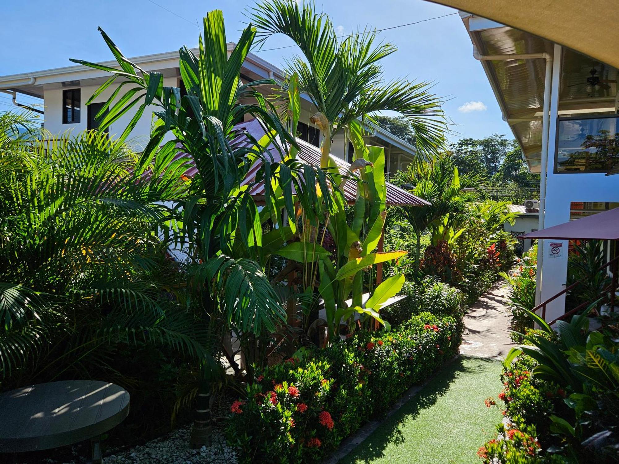 Ballena Rey Hotel Uvita Exterior foto
